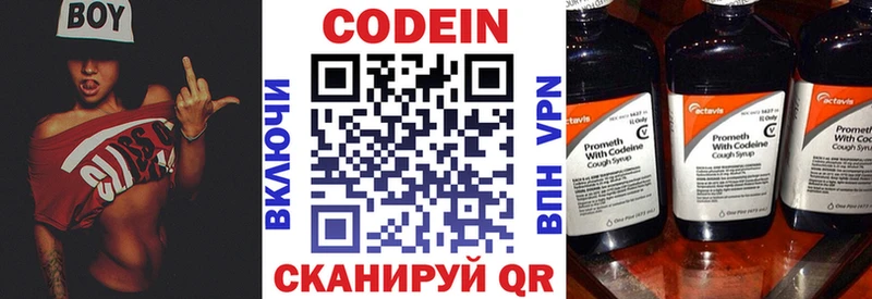 Купить закладки  Каменка  Кодеин Purple Drank 