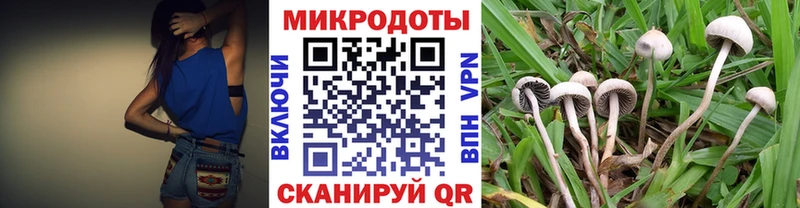 Псилоцибиновые грибы ЛСД  Купить закладки  Каменка 