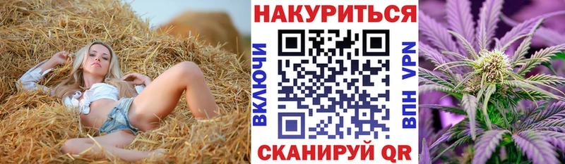 Купить закладки  Каменка  Бошки Шишки Amnesia 