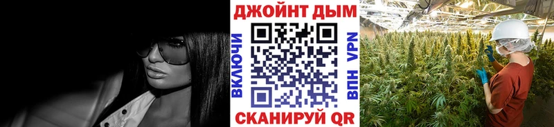 Канабис семена Каменка